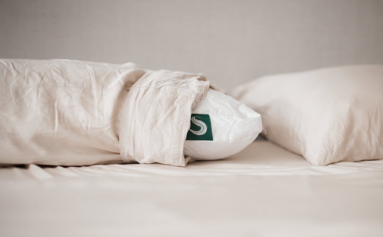 Sleepgram Pillows 16