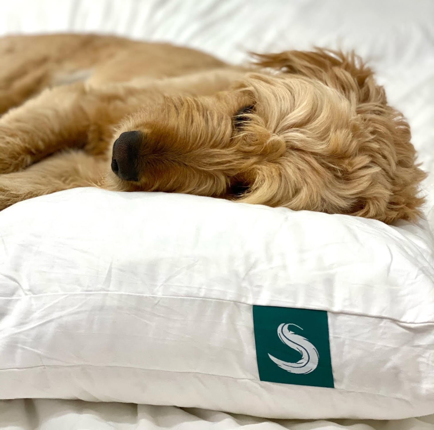 Sleepgram Pillows 17